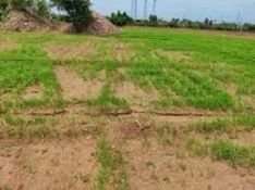 Agriculture Land for sale in erode
