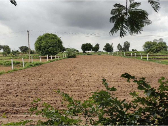 Agriculture Land For Sale in Arasiramani