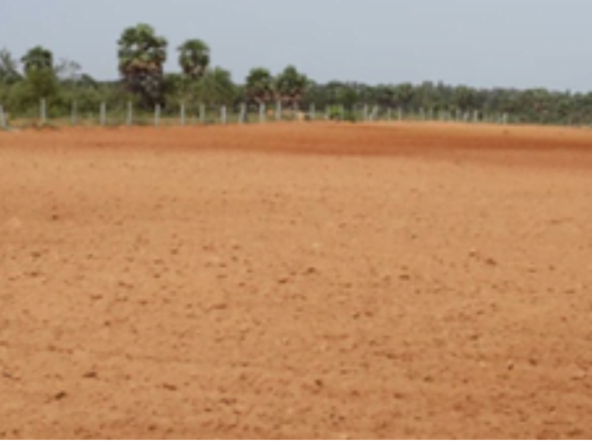 Agriculture Land For Sale in Aravakurichi