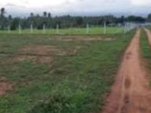 Agriculture Land for sale in Athanur