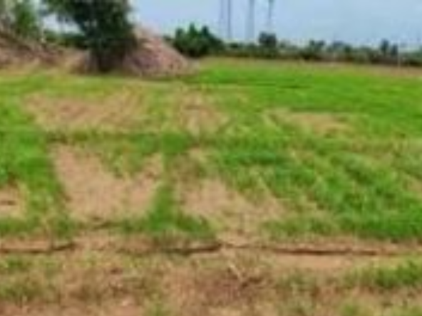 Agriculture Land for sale in Kodumudi