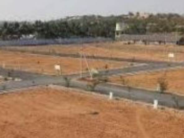 Plot for Sale in Gobichettipalayam