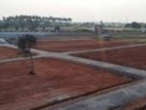 Plot For sale in Thanthonimalai