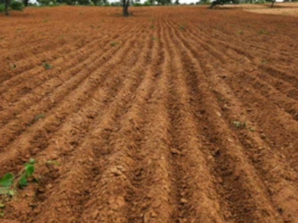 Agriculture Land For sale in Jalakandapuram