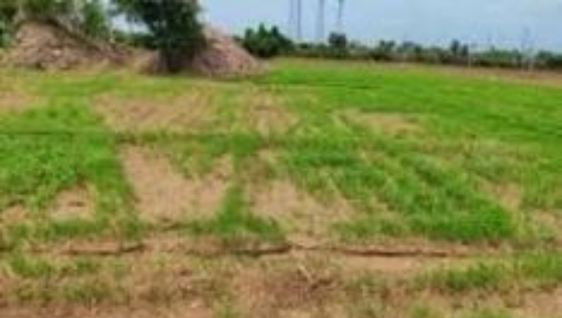 Agriculture land for sale in Bhavani