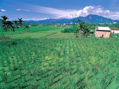 Agriculture Land for sale in karur