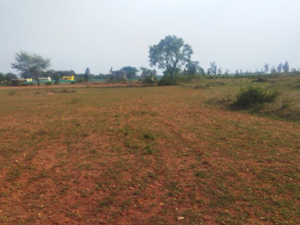 Agricultural Land for Sale in Bargur