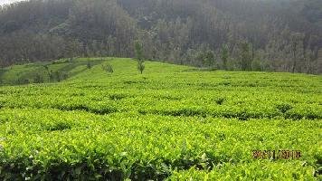 Agriculture Land for sale in Coonoor