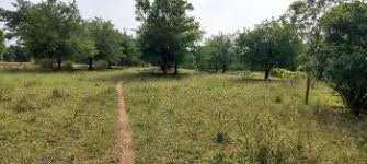 Agricultural Land for Sale in Morappur