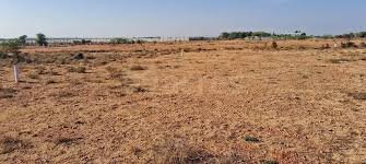 Agricultural Land for Sale in Thoppur