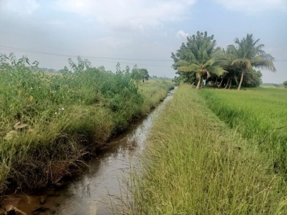 Agriculture lan for sale in Vedasandur