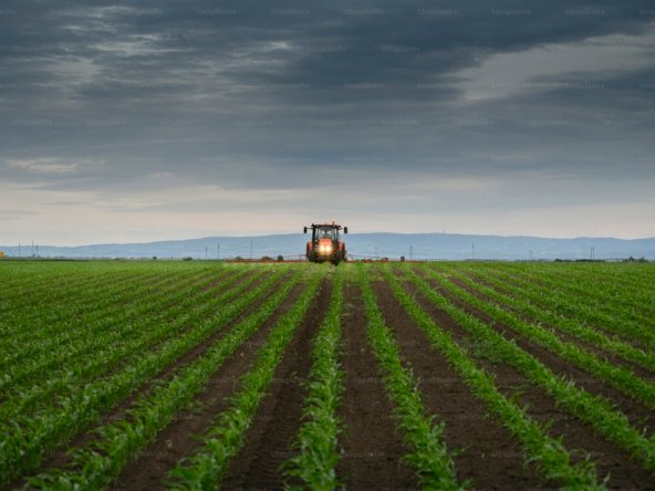 Agriculture land in Vengamedu