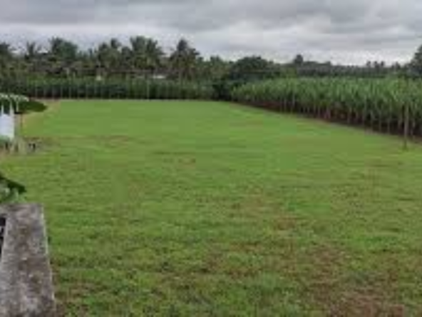 Agriculture Land for sale in Thondamuthur