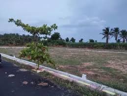 Plot for Sale in Palacode