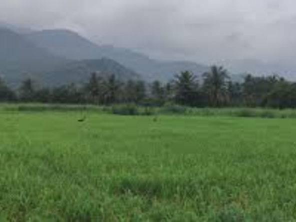 Agriculture Land for sale in Devanangurichi