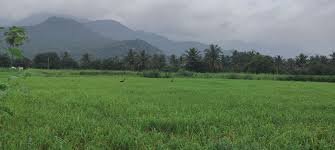 Agriculture Land for sale in Paramathi Velur