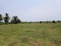 Agricultural property on Rayakottai Road