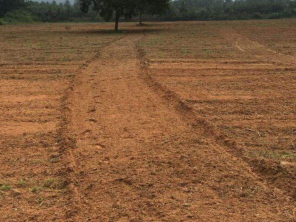 Agricultural Land for sale in Nanjundapuram