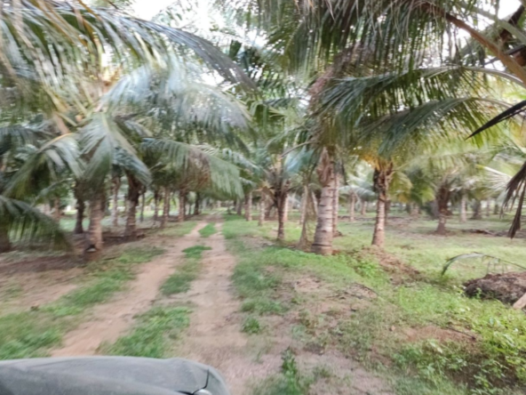 Agricultural Land for sale in Pongaliyur