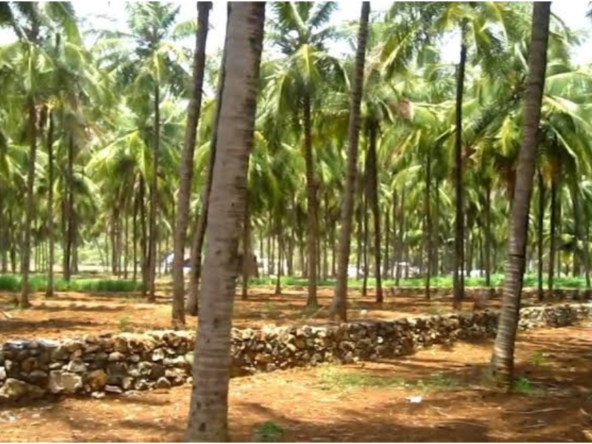 Agricultural Land for sale in Gomangalampudur