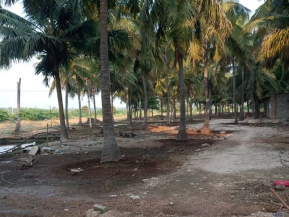 Agricultural Land for sale in Aplivati