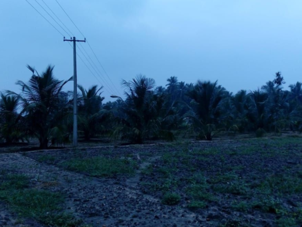 Eco Farm Land for sale in Sokkampalayam