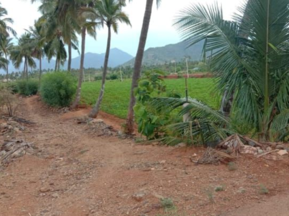 Agricultural Land for sale in Bailnadu R.F. North