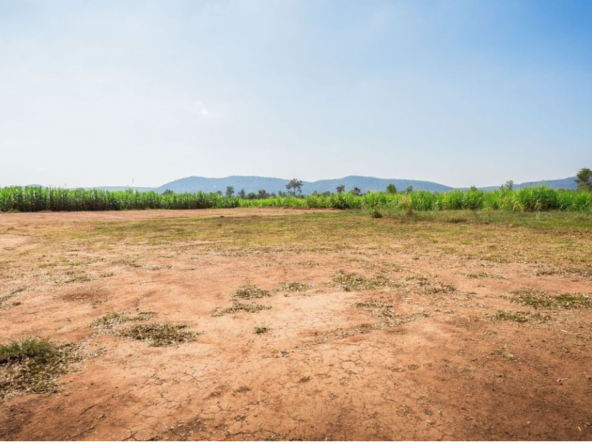 Plot for sale in Ooty