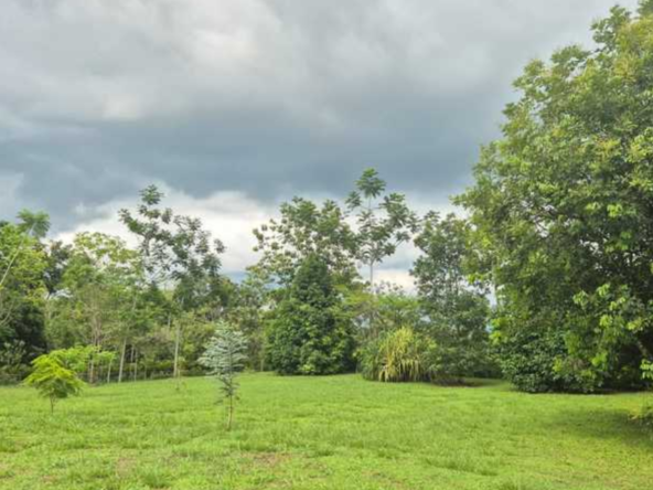 Plot for sale in Adikaratti