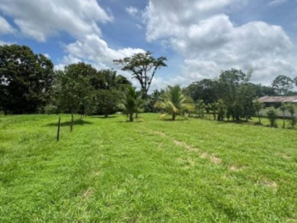 Plot for sale in Ooty