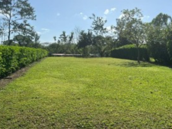 Plot for sale in Lovedale
