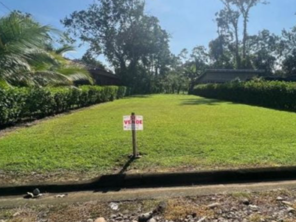 Plot for sale in Kotagiri