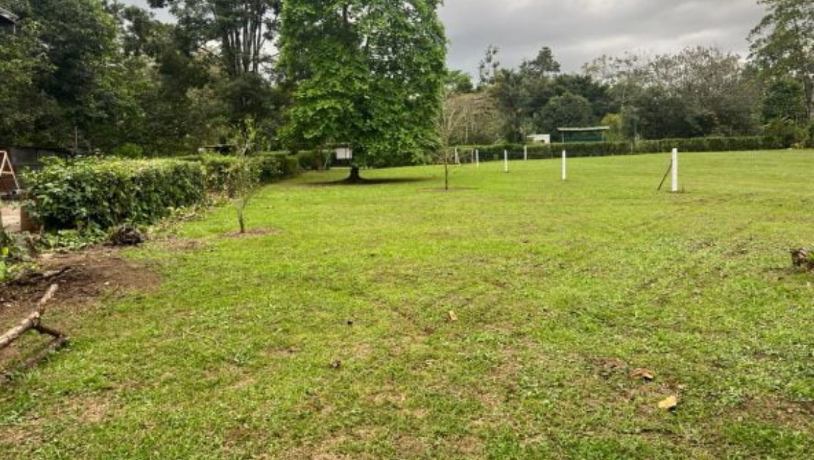 Plot for sale in Ooty