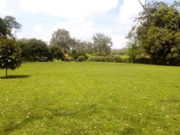 Plot for sale in Ooty