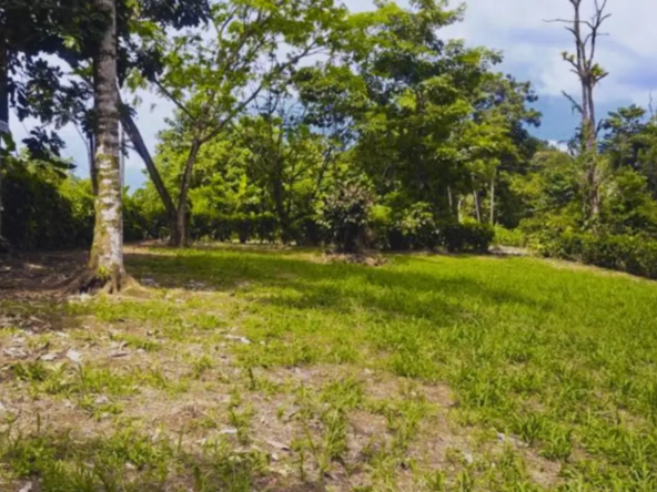 Plot for sale in Ooty