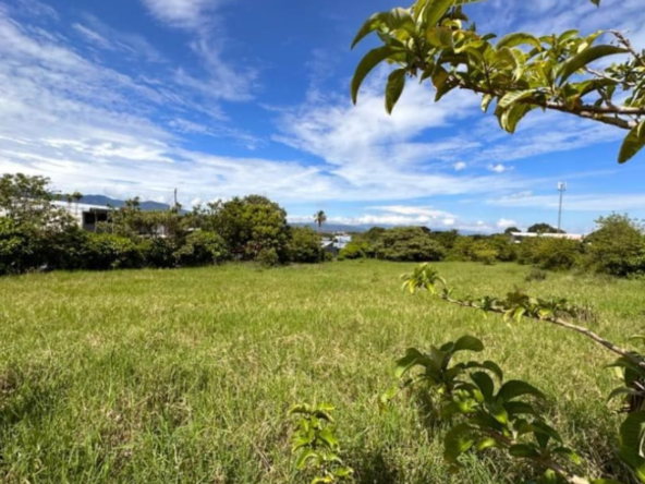 Plot for sale in Lovedale